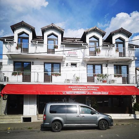 Pensiunea Mikelis International Otel Curtea de Argeş Dış mekan fotoğraf