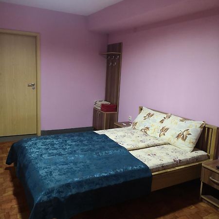 Pensiunea Mikelis International Otel Curtea de Argeş Dış mekan fotoğraf