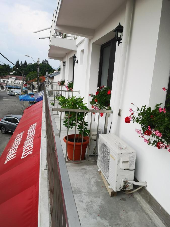 Pensiunea Mikelis International Otel Curtea de Argeş Dış mekan fotoğraf