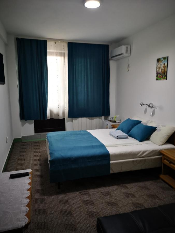 Pensiunea Mikelis International Otel Curtea de Argeş Dış mekan fotoğraf