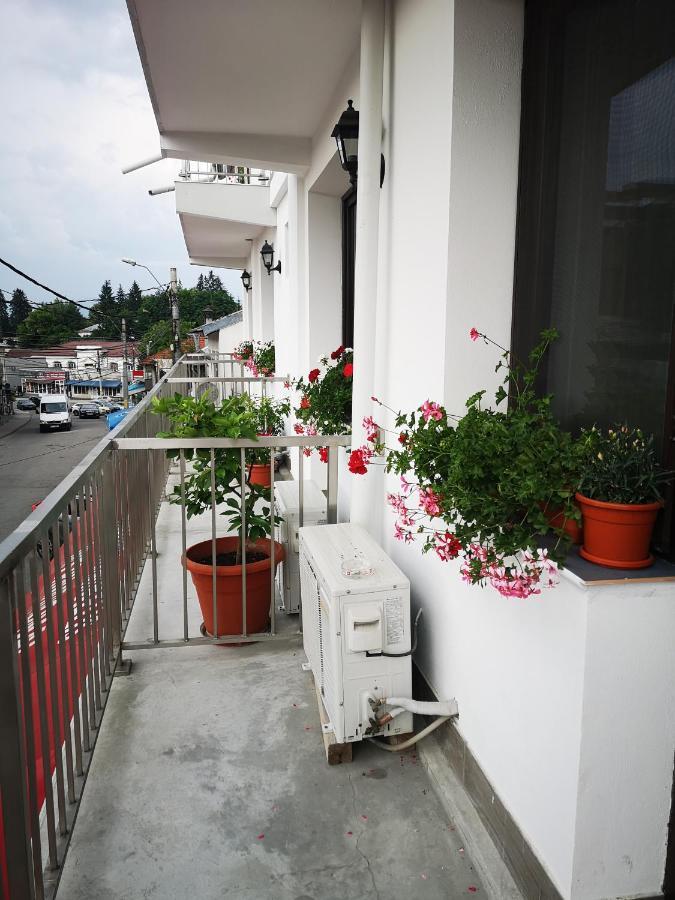 Pensiunea Mikelis International Otel Curtea de Argeş Dış mekan fotoğraf