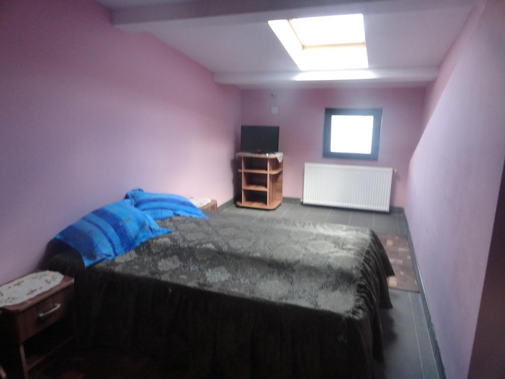 Pensiunea Mikelis International Otel Curtea de Argeş Oda fotoğraf